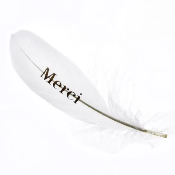 6 Plumes Merci - Or