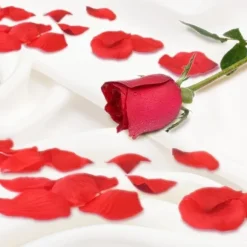 Pétales de rose - 15 g - Saint-Valentin - Collection Chéri Chérie
