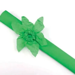 Rouleau papier crépon 10m – Vert