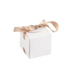 Ruban en coton blanc cassé - 10 cm x 3 m - Collection Voile de Douceur