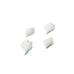 Sachet de 4 Coquillages Pailletés Adhésifs - Blanc