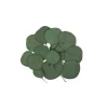 Sachet de 15 Feuilles d'Eucalyptus Vert