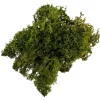 Sachet de Mousse Végétale - Vert Foncé - 30 g