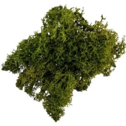Sachet de Mousse Végétale - Vert Foncé - 30 g