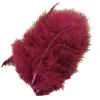 Sachet de 20 Plumes Décoratives - Bordeaux