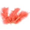 Sachet de 20 Plumes Décoratives - Corail
