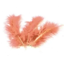Sachet de 20 Plumes Décoratives - Pêche