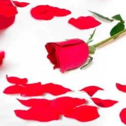 Sachet de 150 pétales de roses rouges