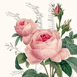 20 serviettes cocktail en papier - 25 x 25 cm - Wonderful Rose