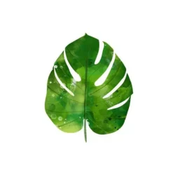 20 Serviettes Cocktail - Philodendron - 25 x 25 cm