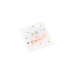 16 Serviettes en papier - Gender Reveal - Fille ou Garçon ?