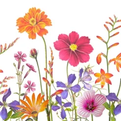 20 serviettes en papier - 33 x 33 cm - Atelier "Jardin Botanic"