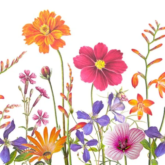 20 serviettes en papier - 33 x 33 cm - Atelier "Jardin Botanic"
