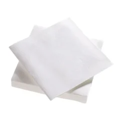 25 serviettes en voie sèche - 40 x 40 cm - Couleur Blanc