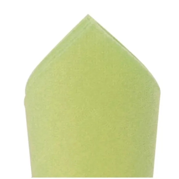 100 Serviettes Ouate de Cellulose 38 x 38 cm - Vert amande