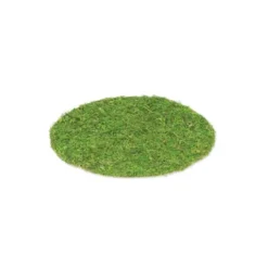 Set de table en mousse végétale - 35 cm