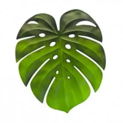 Set de table - Feuille tropicale Monstera