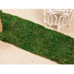 Sur Chemin de Table - Mousse Nature - Vert