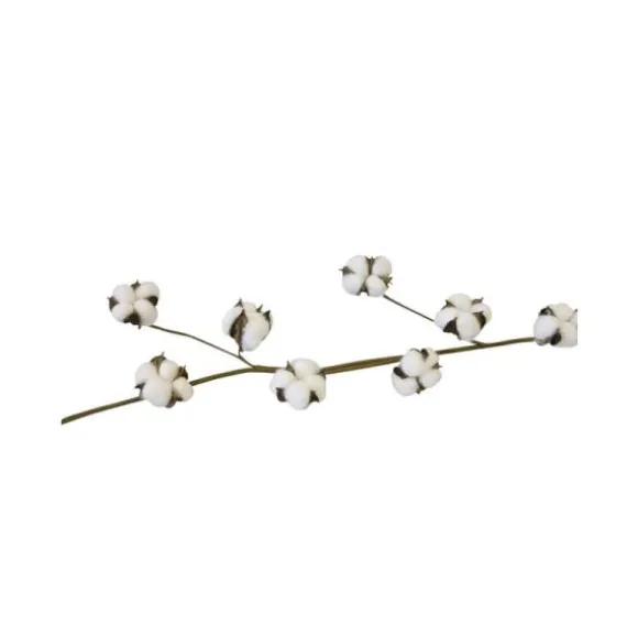 Tige de 16 Fleurs de coton - 110 cm