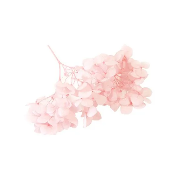 Tige de petites fleurs séchées - Couleur au choix