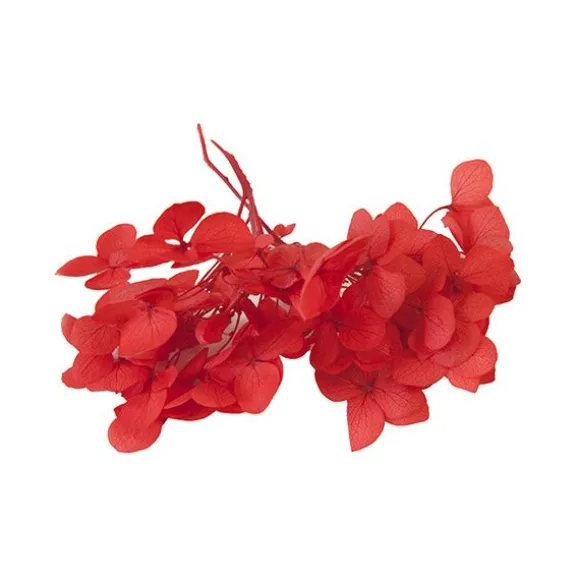 Tige de petites fleurs séchées - Couleur au choix