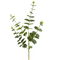 Tige d'Eucalyptus 90 CM - Gris