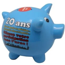 Tirelire Cochon Anniversaire - 20 Ans