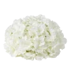 Tête d'hortensia blanche - 27 cm