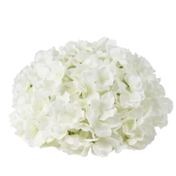 Tête d'hortensia blanche - 27 cm