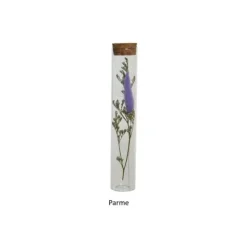 Tube en verre avec fleurs séchées - 18 cm - Couleur au choix