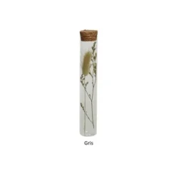 Tube en verre avec fleurs séchées - 18 cm - Couleur au choix
