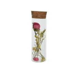 Tube en verre de Fleurs séchées avec bouchon en liège - Couleur aléatoire